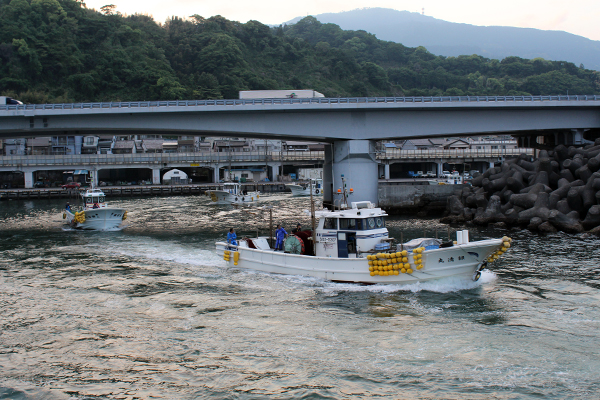 桜えび春漁ただいま解禁中です しずおかハッピー スポット ハピスポ